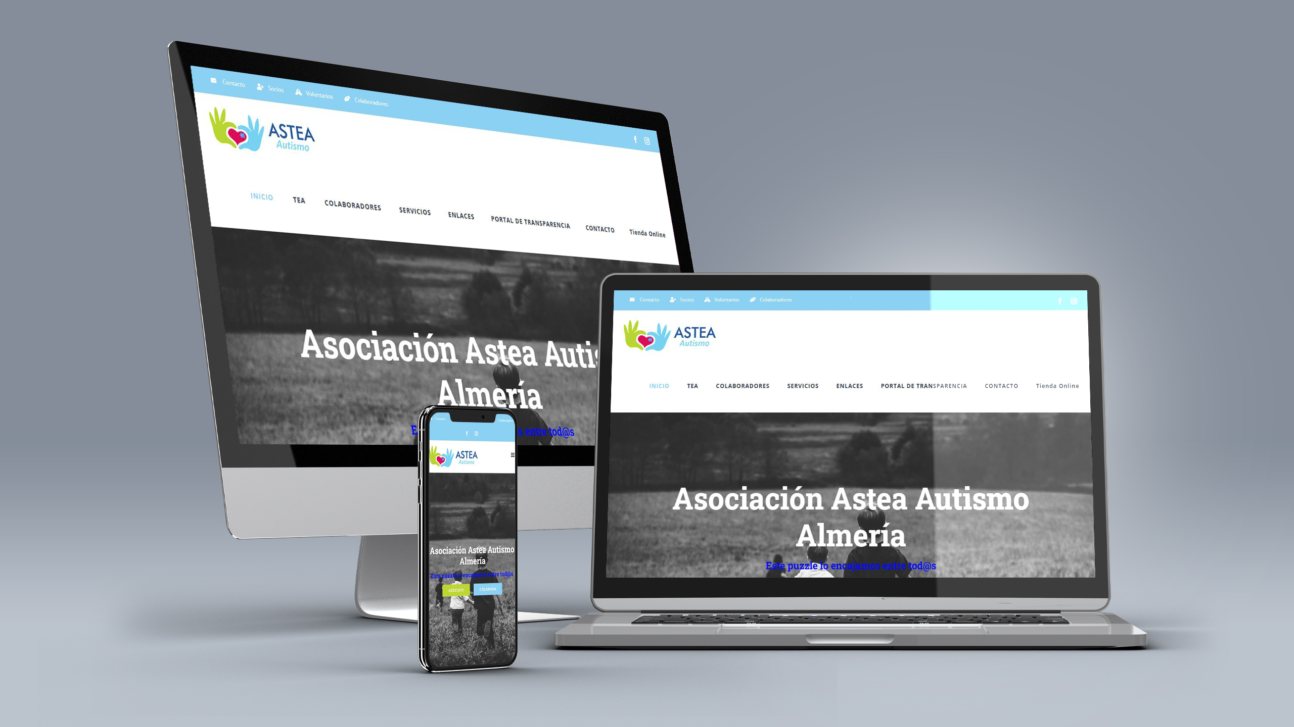 diseño web astea autismo